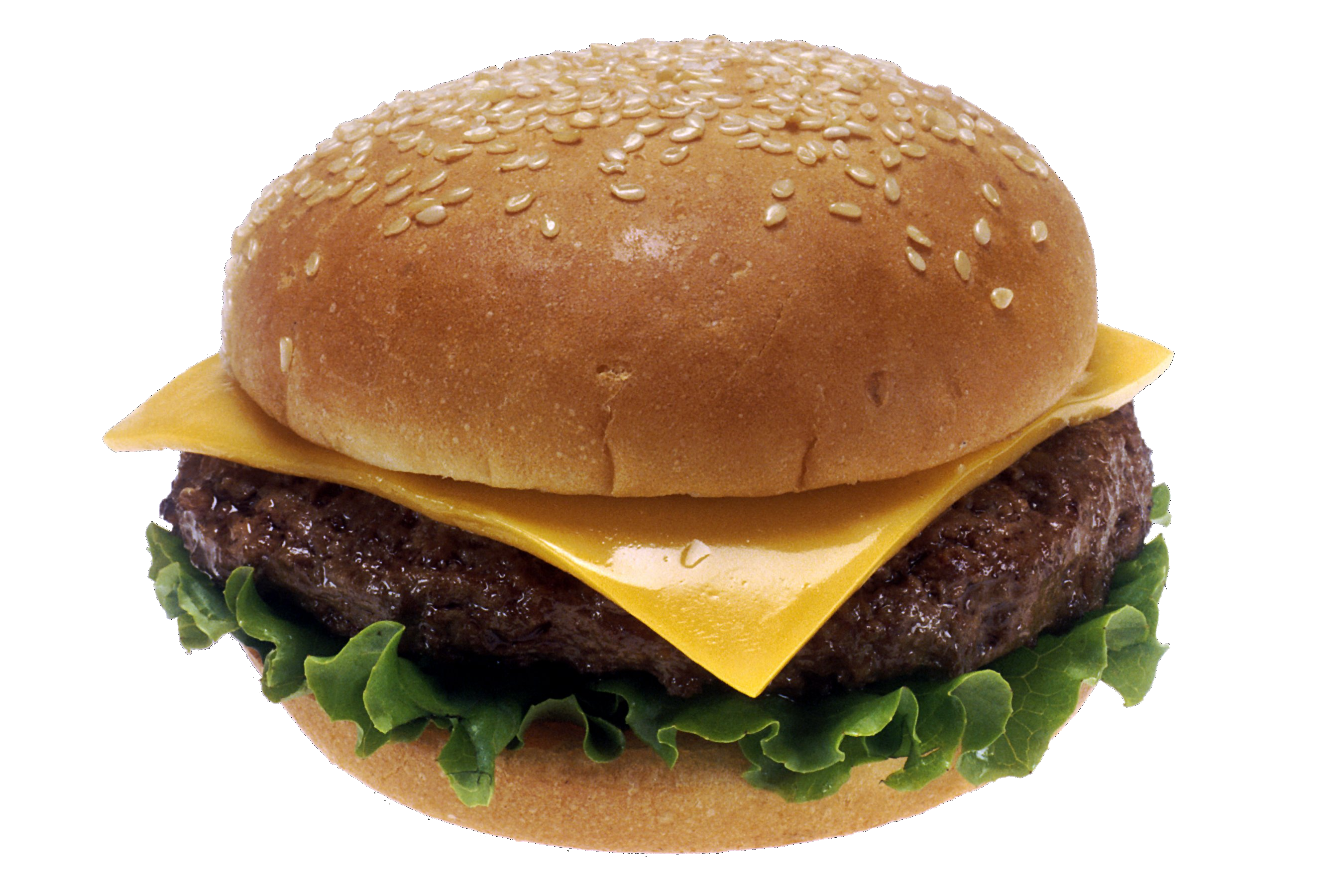 Cheese burger